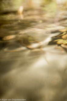 DNatuur-7022